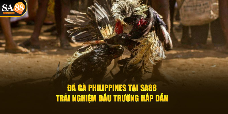 Đá gà philippines​