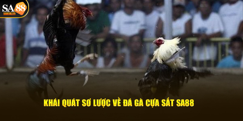 Khái quát sơ lược về đá gà cựa sắt SA88 bet